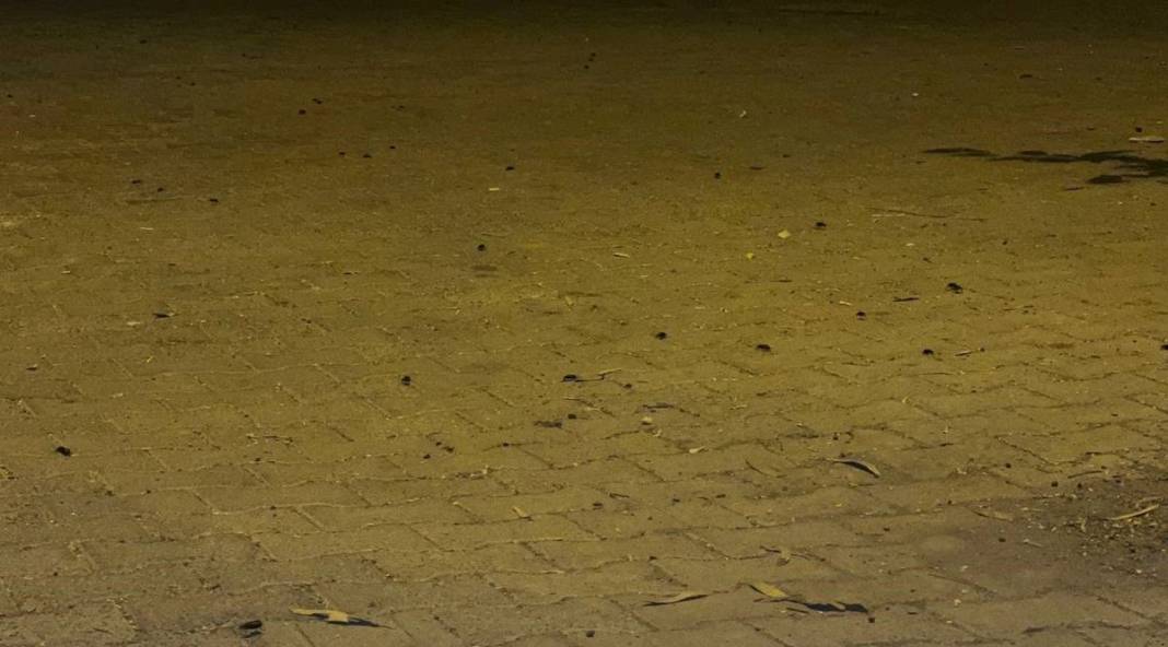 O illerde yaşayanlar dikkat: İstila başladı! Hava kararınca ortaya çıkıp evlerin içine kadar giriyorlar! 9